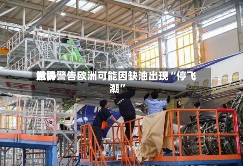 世界航协警告欧洲可能因缺油出现“停飞潮	”-第2张图片