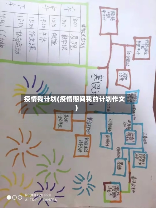 疫情我计划(疫情期间我的计划作文)-第3张图片
