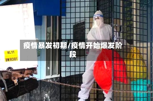 疫情暴发初期/疫情开始爆发阶段-第2张图片