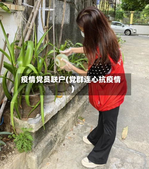 疫情党员联户(党群连心抗疫情)