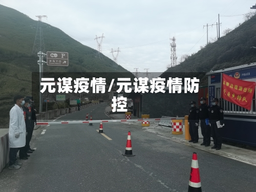 元谋疫情/元谋疫情防控