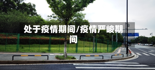 处于疫情期间/疫情严峻期间