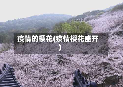 疫情的樱花(疫情樱花盛开)-第2张图片