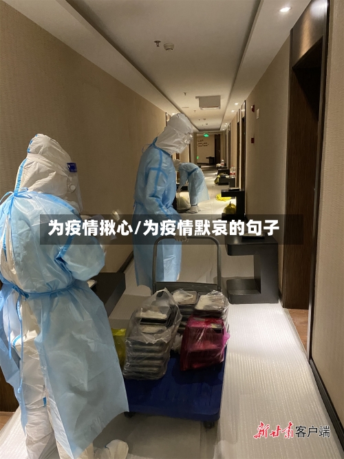 为疫情揪心/为疫情默哀的句子