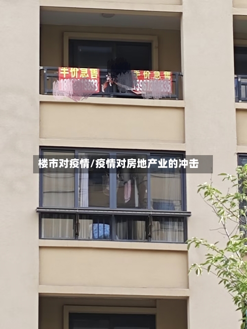 楼市对疫情/疫情对房地产业的冲击