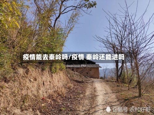 疫情能去秦岭吗/疫情 秦岭还能进吗