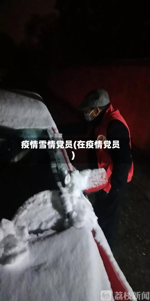 疫情雪情党员(在疫情党员)