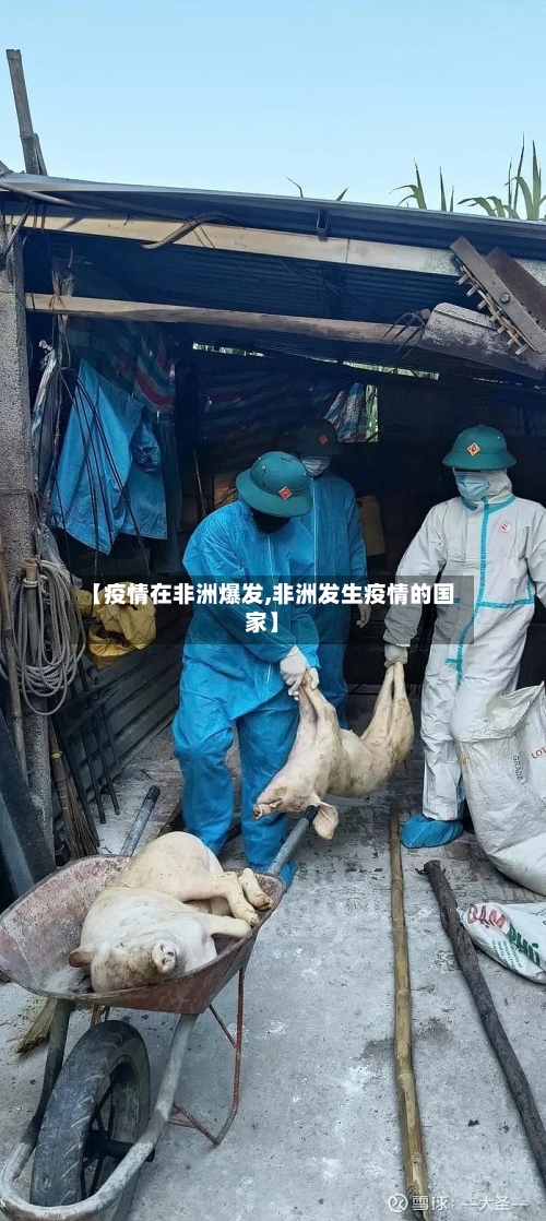 【疫情在非洲爆发,非洲发生疫情的国家】