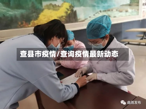 查县市疫情/查询疫情最新动态