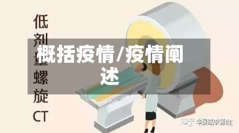 概括疫情/疫情阐述