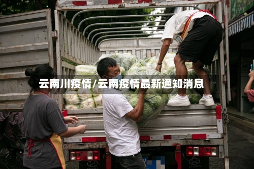 云南川疫情/云南疫情最新通知消息