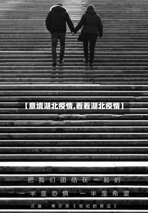 【意境湖北疫情,看看湖北疫情】
