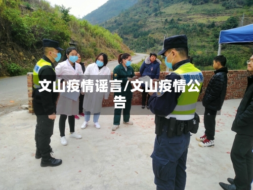 文山疫情谣言/文山疫情公告