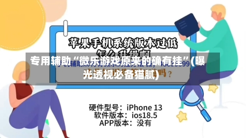 专用辅助“微乐游戏原来的确有挂”(曝光透视必备猫腻)