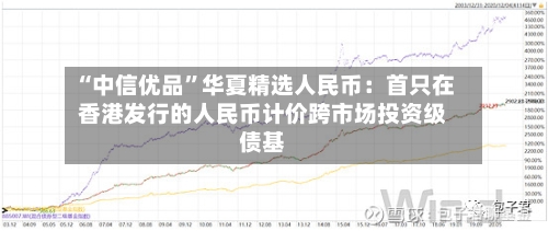 “中信优品”华夏精选人民币:首只在香港发行的人民币计价跨市场投资级债基