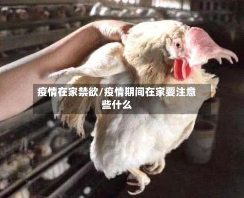 疫情在家禁欲/疫情期间在家要注意些什么