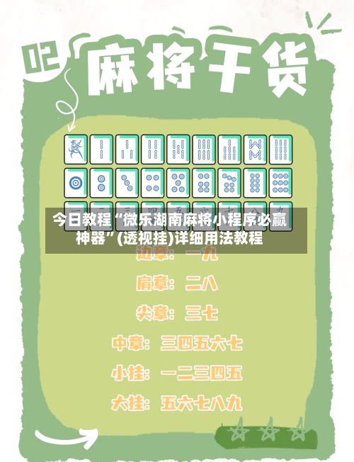 今日教程“微乐湖南麻将小程序必赢神器”(透视挂)详细用法教程