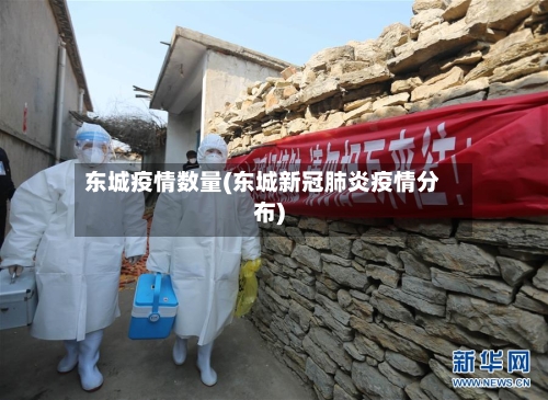 东城疫情数量(东城新冠肺炎疫情分布)