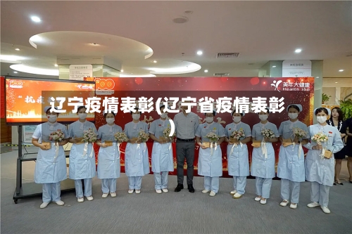 辽宁疫情表彰(辽宁省疫情表彰)