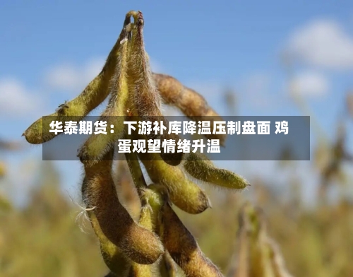 华泰期货：下游补库降温压制盘面 鸡蛋观望情绪升温