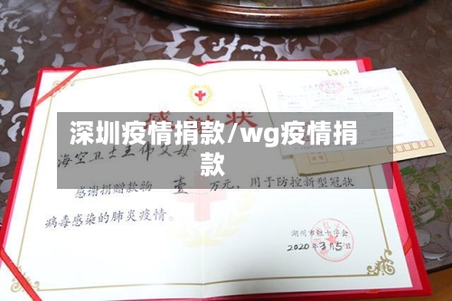 深圳疫情捐款/wg疫情捐款