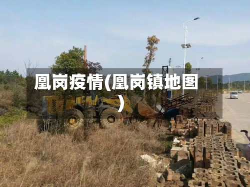 凰岗疫情(凰岗镇地图)