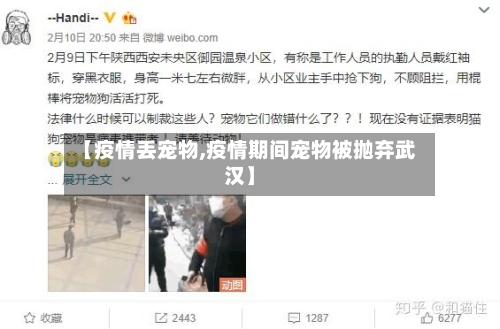 【疫情丢宠物,疫情期间宠物被抛弃武汉】