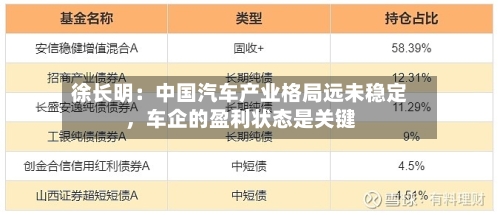 徐长明：中国汽车产业格局远未稳定，车企的盈利状态是关键