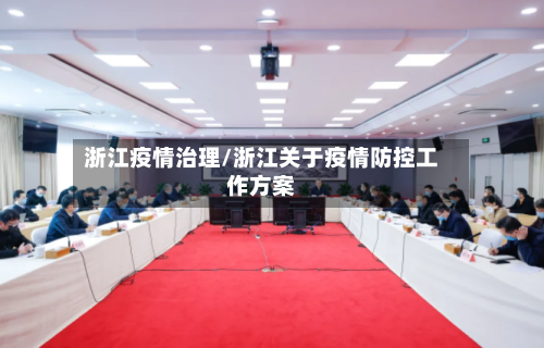 浙江疫情治理/浙江关于疫情防控工作方案
