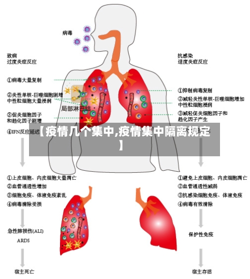 【疫情几个集中,疫情集中隔离规定】