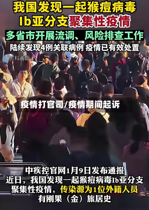 疫情打官司/疫情期间起诉