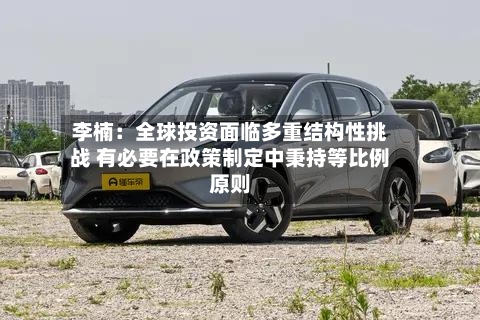 李楠:全球投资面临多重结构性挑战 有必要在政策制定中秉持等比例原则