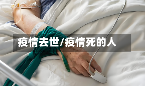 疫情去世/疫情死的人