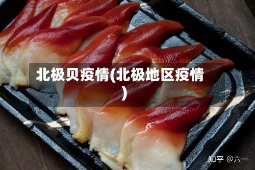 北极贝疫情(北极地区疫情)