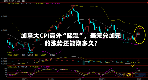 加拿大CPI意外“降温”，美元兑加元的涨势还能烧多久？
