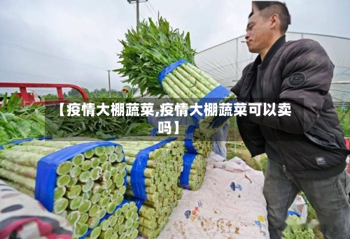 【疫情大棚蔬菜,疫情大棚蔬菜可以卖吗】