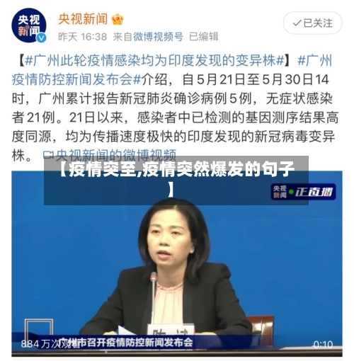 【疫情突至,疫情突然爆发的句子】