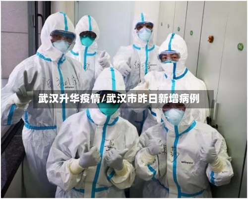 武汉升华疫情/武汉市昨日新增病例