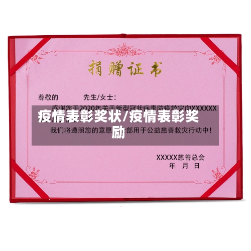疫情表彰奖状/疫情表彰奖励