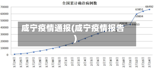 咸宁疫情通报(咸宁疫情报告)