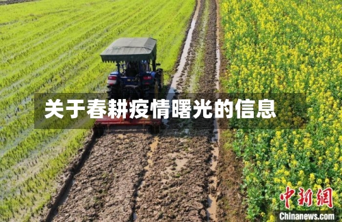 关于春耕疫情曙光的信息