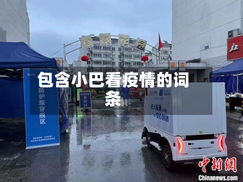 包含小巴看疫情的词条