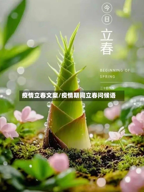 疫情立春文案/疫情期间立春问候语