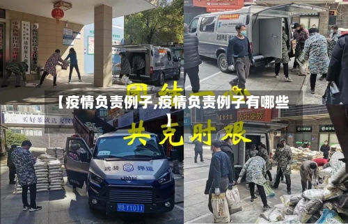 【疫情负责例子,疫情负责例子有哪些】