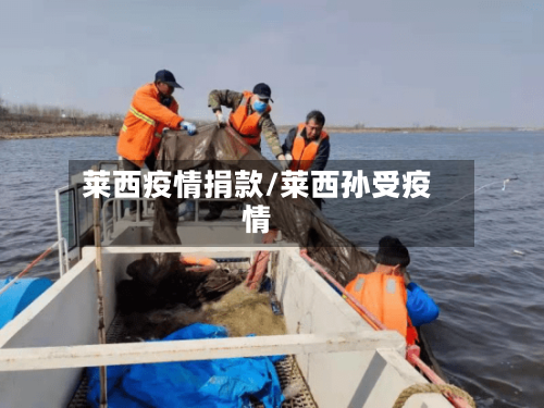 莱西疫情捐款/莱西孙受疫情