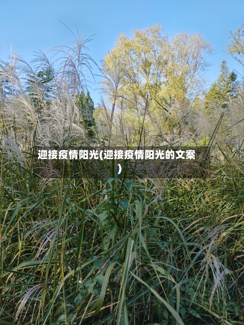 迎接疫情阳光(迎接疫情阳光的文案)