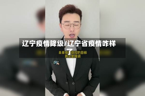辽宁疫情降级/辽宁省疫情咋样了