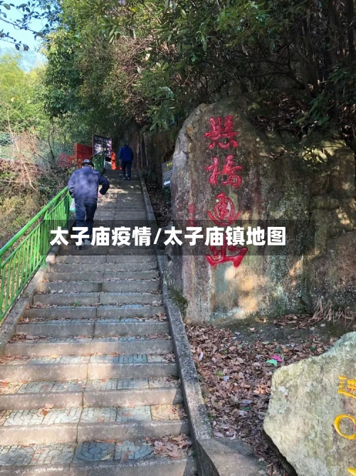太子庙疫情/太子庙镇地图