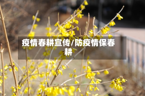 疫情春耕宣传/防疫情保春耕