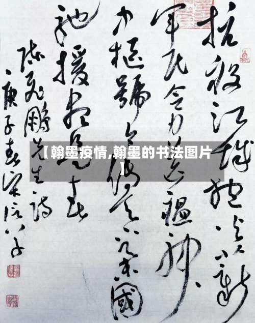 【翰墨疫情,翰墨的书法图片】